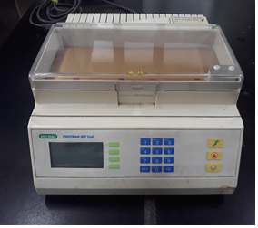 2D-gel-electrophoresis