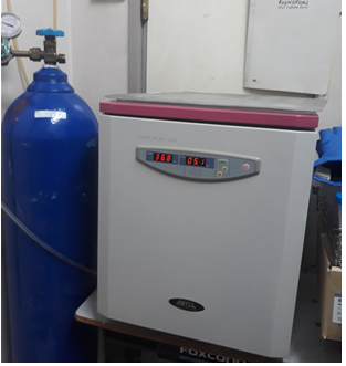 CO2 incubator