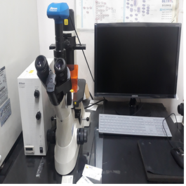 Fluorescence inverted microscope
